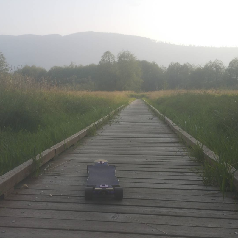 My longboard sitting on a boardwalk over a marsh with trees, mountains, and fog in the distance.